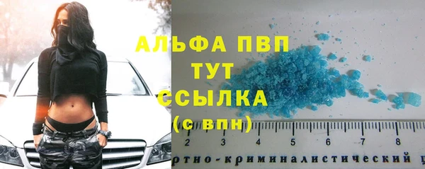 эйфоретик Кущёвская