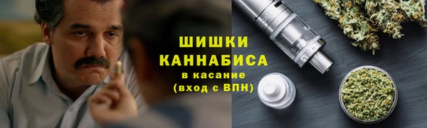 ГАЛЛЮЦИНОГЕННЫЕ ГРИБЫ Карталы