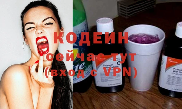 ГАЛЛЮЦИНОГЕННЫЕ ГРИБЫ Карталы