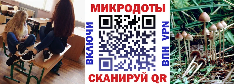 Псилоцибиновые грибы прущие грибы  Купить где  Медынь 