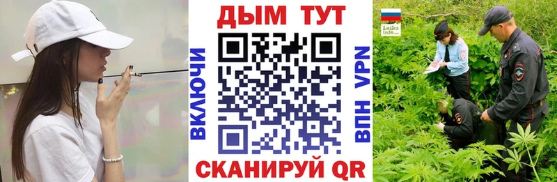 Шишки марихуана AK-47  Купить где  Медынь 
